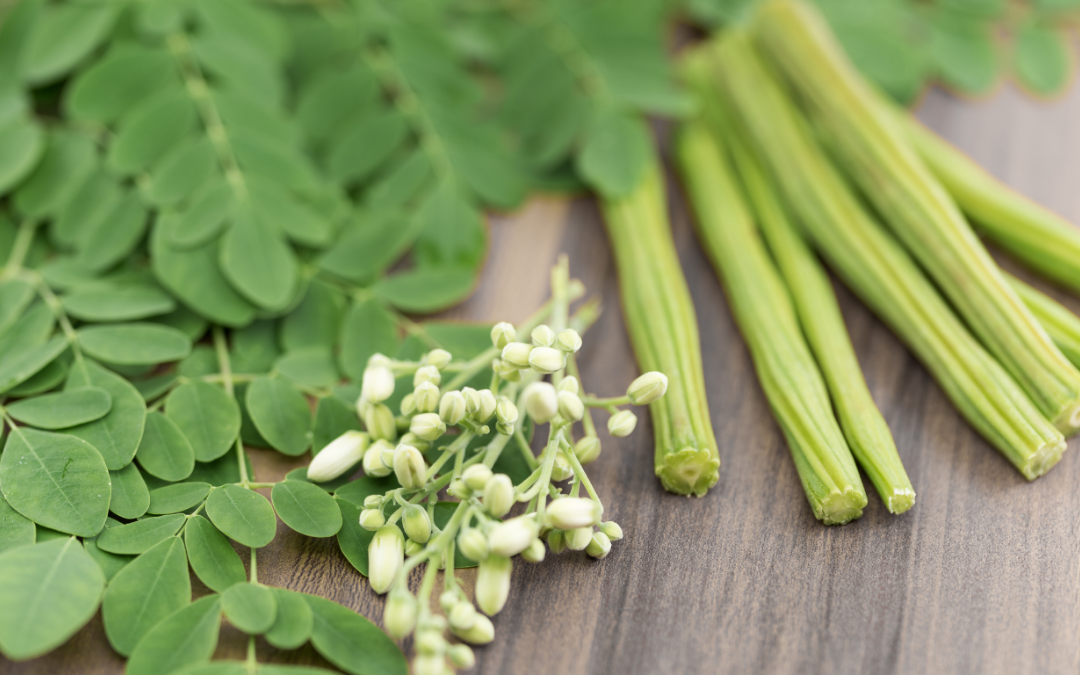 Moringa Benefits – The Miracle Tree for Daily Health