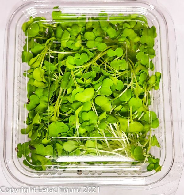 Mustard Green Microgreens on Salad