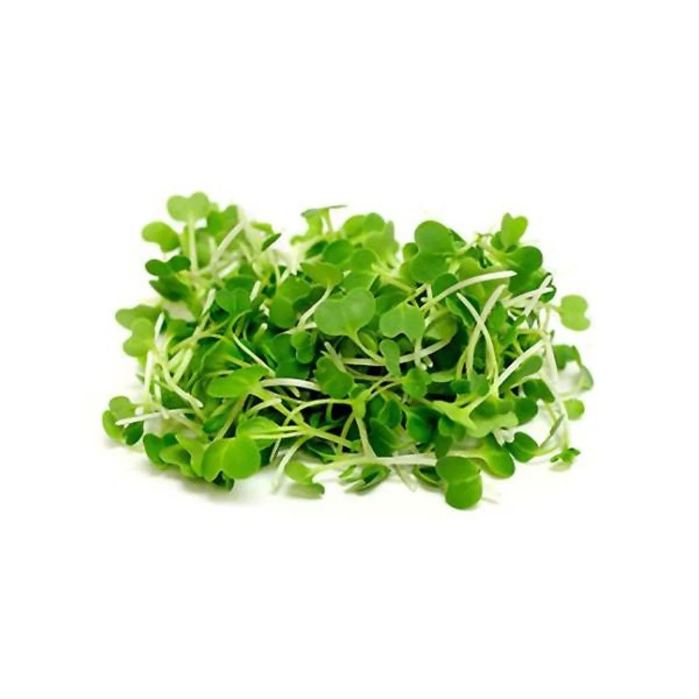 Pak Choi Microgreens Dish