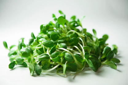 Microgreens